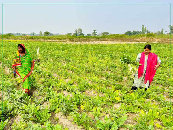 सामूहिक खेतीले आत्मनिर्भर बन्दै सिरहाका दलित महिला