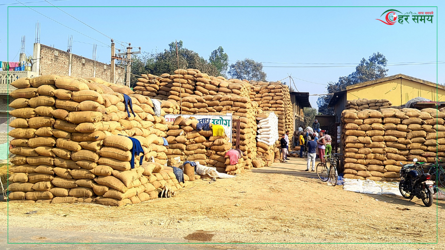 मीलमा राखिएका धानका बोरा