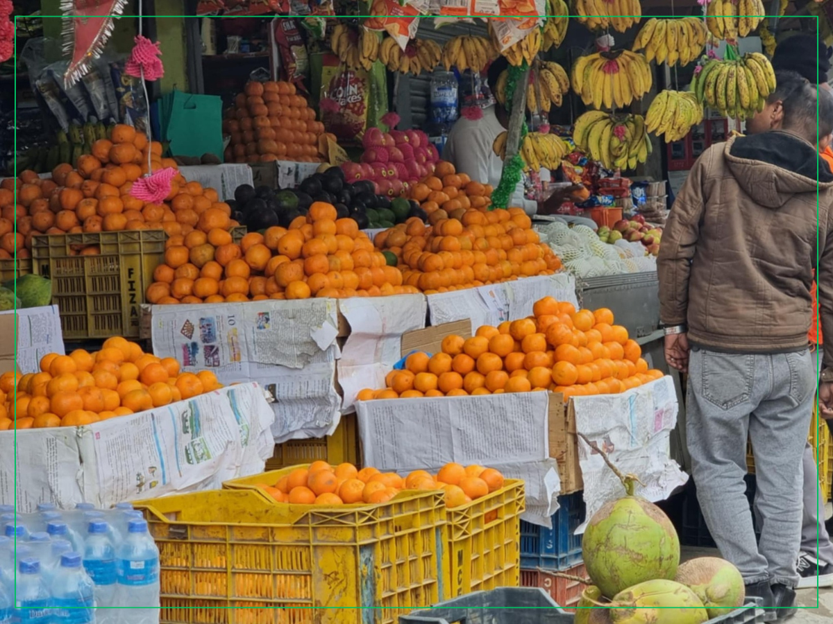 सुन्तला उत्पादन घटेपनि मूल्य वृद्धि हुँदा किसान उत्साहित